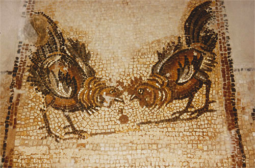 Kampfhähne auf dem Mosaik in Chania